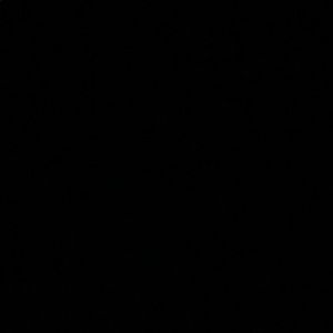 Meet your Posher, Xavier